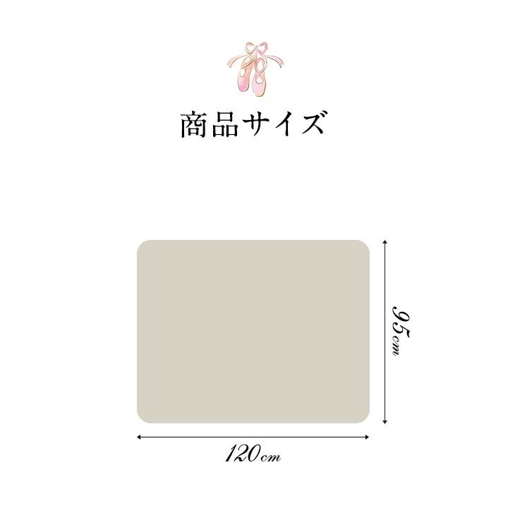 1年保証 バレエマット 自宅 レッスンマット 95x120cm 厚さ2.5mm 滑り