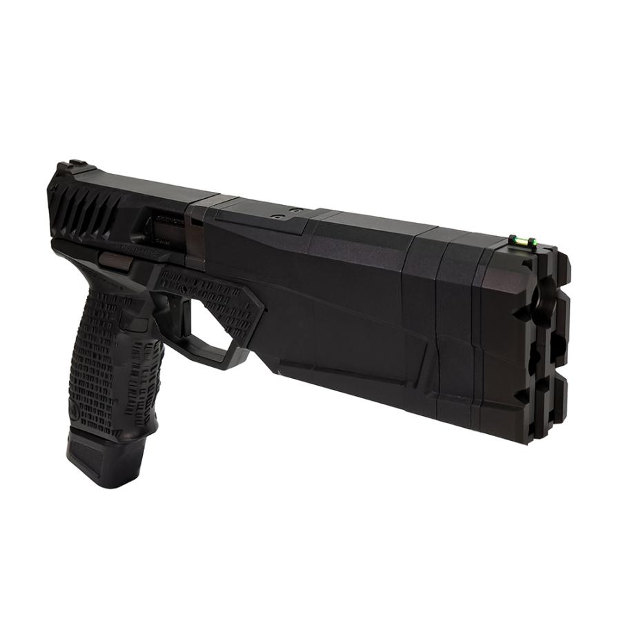 LayLax KRYTAC SilencerCo Maxim 9 ストライクフロントキット