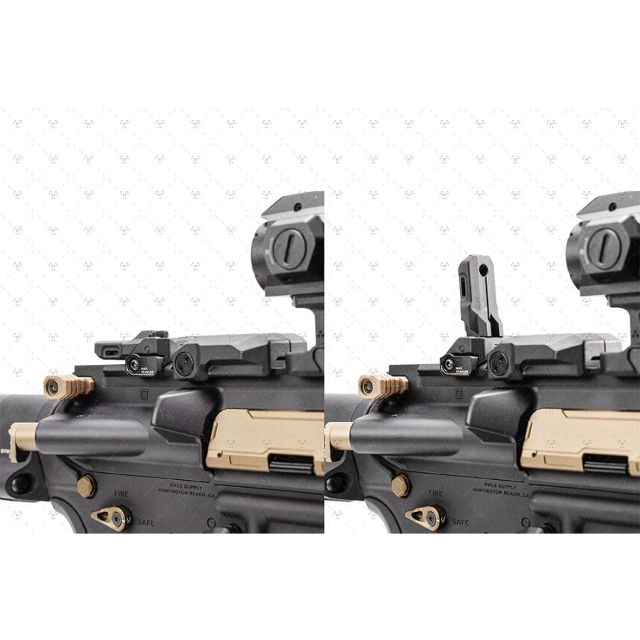 Strike Polymer Backup Sights バックアップサイト【ブラック
