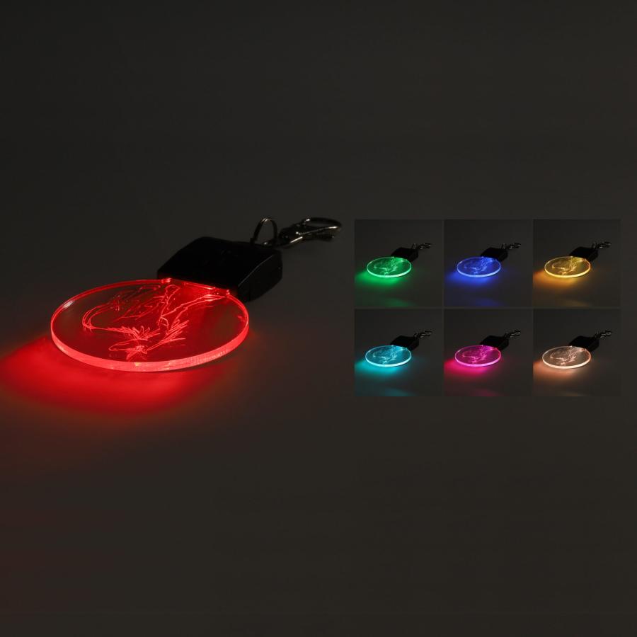 光るアクリルキーホルダー ノベルティ 名入れ 販促品 記念品