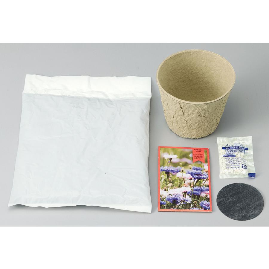 非売品　ノベルティ　大量100点まとめ　1点100円 ECOポットM 100個単位販売 ノベルティ 名入れ 販促品 記念品