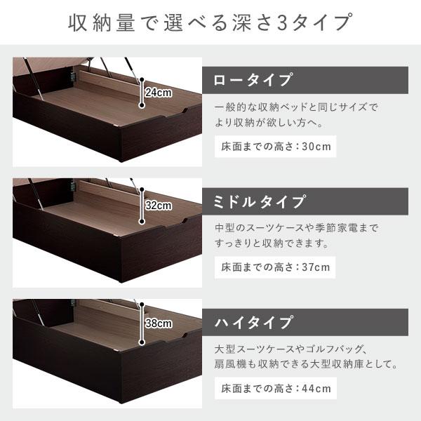 通販早割 〔組立設置サービス付き〕 日本製 収納ベッド 通常丈 セミシングル フレームのみ 縦開き ロータイプ 深さ30cm ブラウン 跳ね上げ式 照明付き〔代