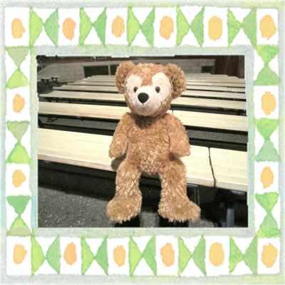 新品即決 ダッフィー グッズ ダッフィーのぬいぐるみmサイズ 50cm Dz 2 L Green 通販 Yahoo ショッピング 格安 Www Maxipiso Com Ar