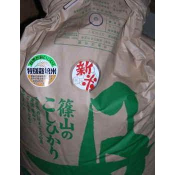 米  丹波篠山こしひかり 令和5年産 特A地区 特別栽培米白米5kg 10kg以上で送料無料｜l-matsumoto-store