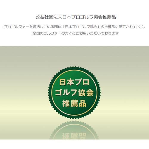 テクタイト CREST2-TOUCH-W 腕時計型GPSゴルフナビ ショットナビ