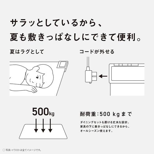 Panasonic（パナソニック） DC-2V5-MT フローリング調ホットカーペット