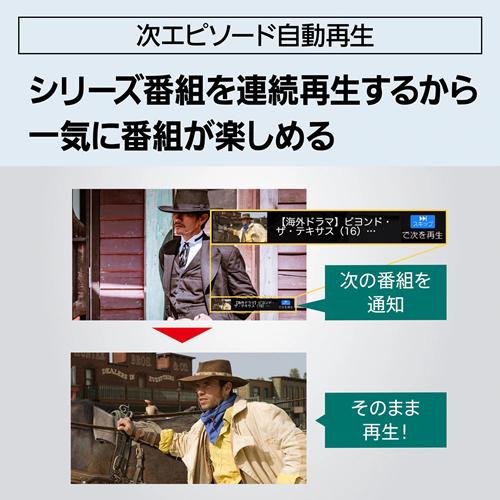 DIGA 【今なら5年延長保証加入が無料】DMR-2W103 パナソニック 1TB