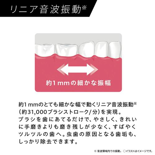 Doltz EW-DA18-G パナソニック 電動歯ブラシ ミントグリーン 音波振動