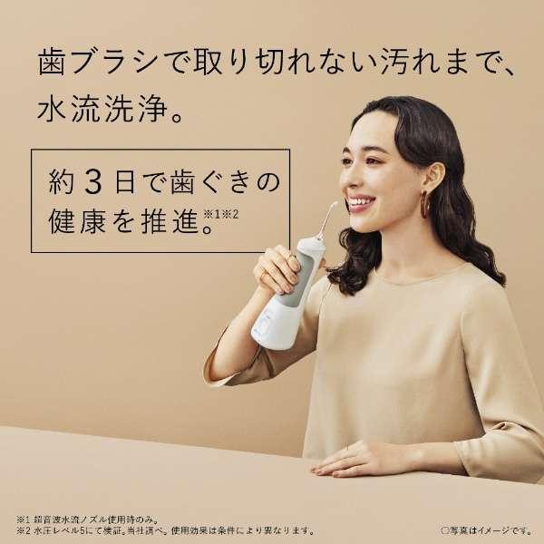 Doltz EW-DJ55-W パナソニック ジェットウォッシャー ドルツ 超音波