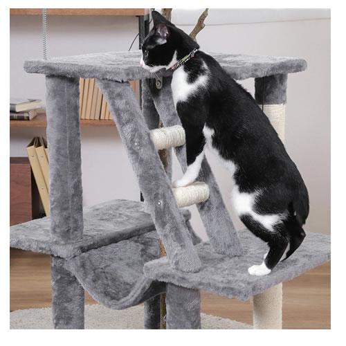 猫★ カード検索 ｜ Z/X - Zillions of enemy X - ゼクス公式サイト