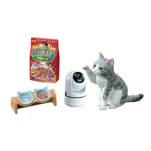 リーメント H-4521121507415 猫田さんの日常 8個入りBOX販売