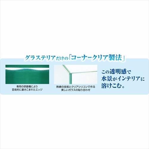 GEX（ジェックス） P-4972547036766 グラステリアS600 6点S