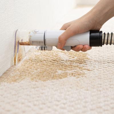 IRIS OHYAMA RNS-P10-W アイリスオーヤマ リンサークリーナー