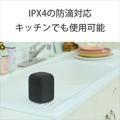 SONY SRS-LS1-BC ソニー ワイヤレスポータブルスピーカー