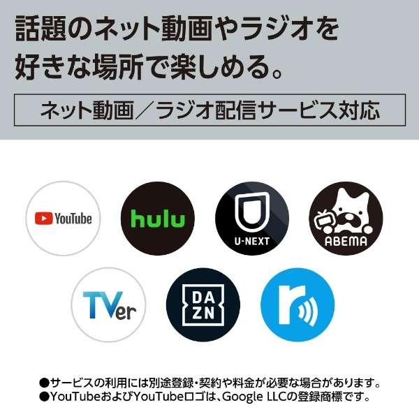 UN-10L12 パナソニック 10V型 ポータブルテレビ プライベート・ビエラ 防水モデル ブラック