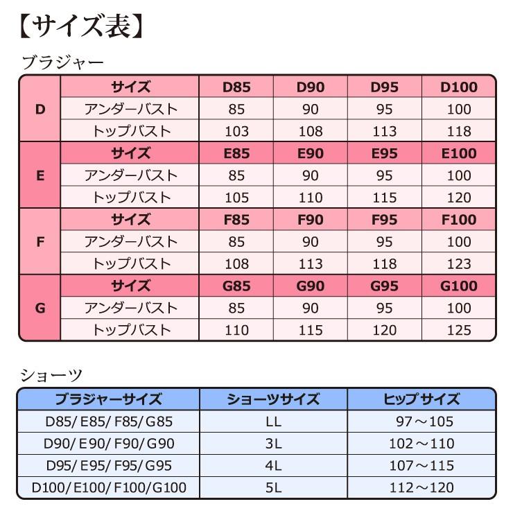大きいサイズ レディース 下着 ブラジャー ブラショーツセット D85 D90 D95 D100 E85 E90 E95 E100 F85 F90 F95 F100 G85 G90 G95 G100 Pセール B01 1 大きいサイズの服レディース Queen 通販 Yahoo ショッピング