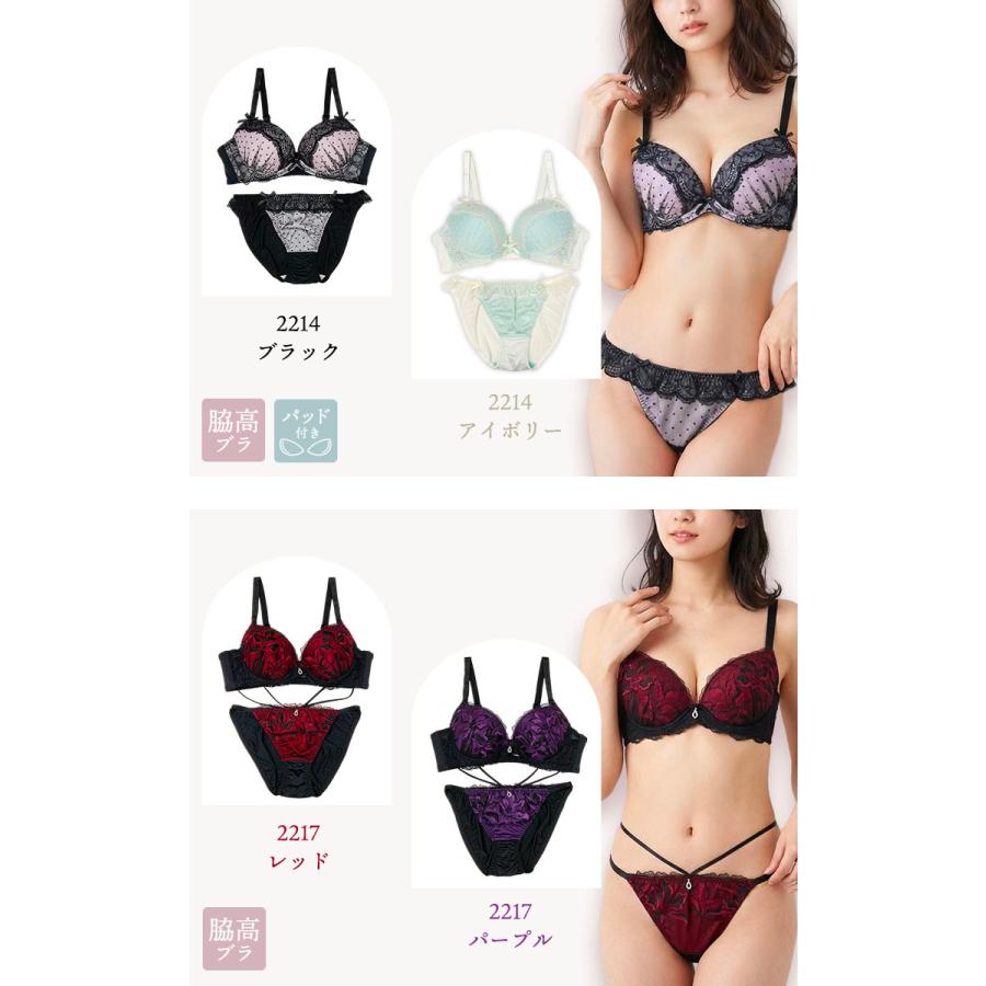 ブラジャー 大きいサイズ レディース ショーツセット ブラショーツセット 脇高ブラ 下着 Eカップ E80 E85 E90 E95 E100 レースブラ ランジェリー 刺繍 |  | 24