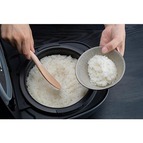 タイガー（TIGER） 海外向け炊飯器 220-230V仕様 JPC-W10W-KM タイガー
