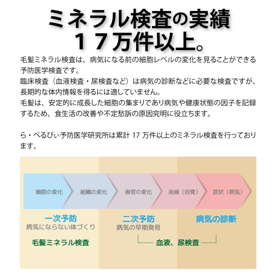 毛髪ミネラル検査 29元素 必須ミネラル12元素 有害金属5元素 準有害金属3元素 参考ミネラル3元素 その他の金属6元素 Hm029 ら べるびぃ予防医学研究所 通販 Yahoo ショッピング