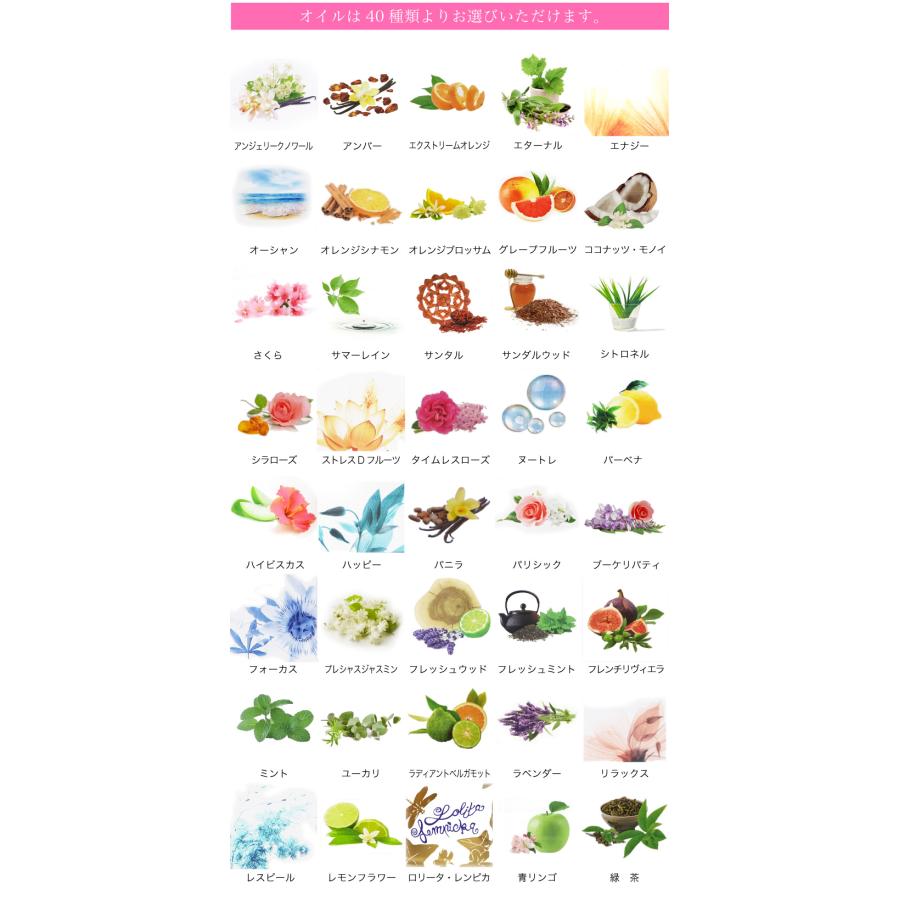 無料 ランプベルジェ フレグランスオイル 1000ml2本セット 正規品