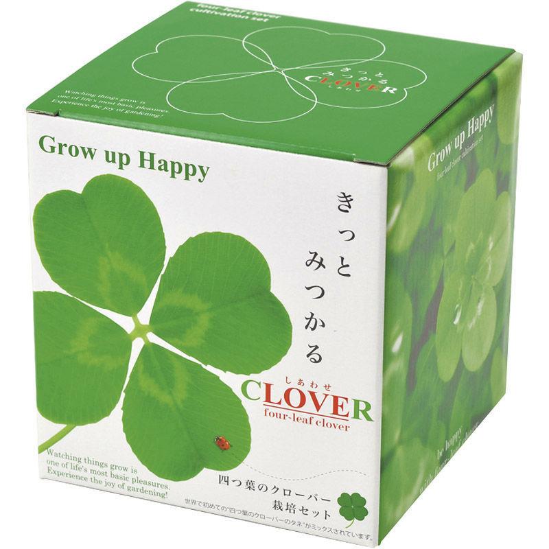 栽培キット きっとみつかる四つ葉のクローバー栽培セット Gd 592 F1412 R06