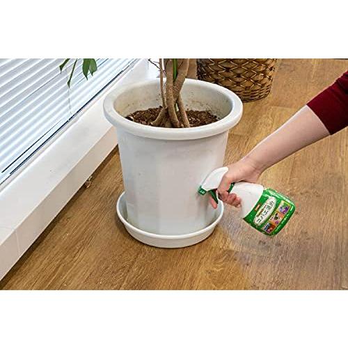 イカリ消毒 コバエ駆除 コバエ用 400ml 室内使用可能 Nnncbdd 雑貨めるろ 通販 Yahoo ショッピング