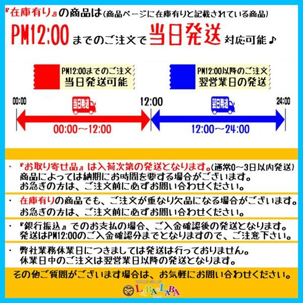 DUNLOP ダンロップ EC202L 205/55R16 91V サマータイヤ 2本セット｜laba-laba-ys｜02