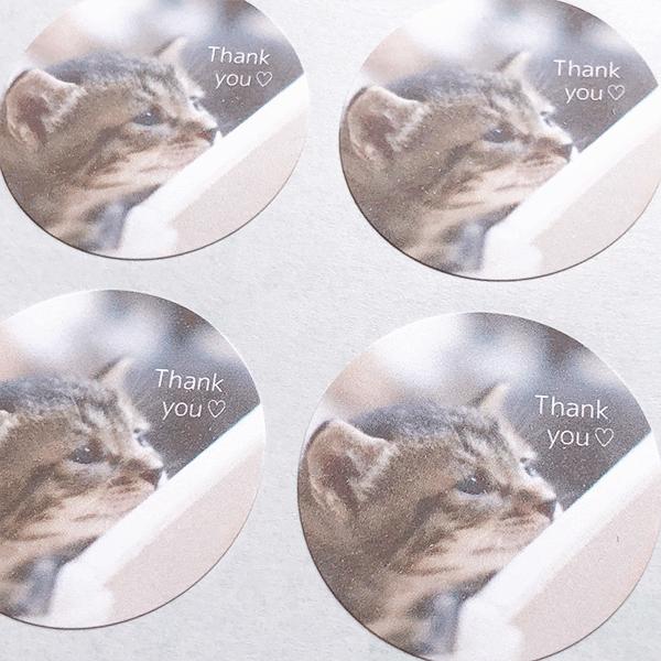 日本未入荷 猫ちゃん サンキューシール ギフトシール ステッカー 2021年激安 プレゼント ラッピング かわいい メッセージ 梱包 カード ありがとう