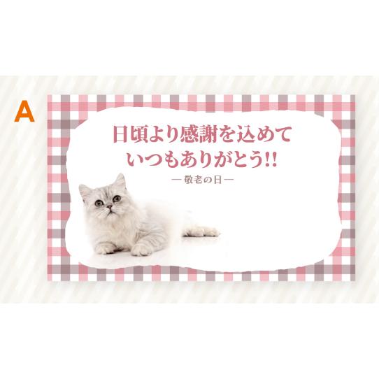 売り上げアップ！2024敬老の日メッセージカード 丸信オリジナル【受注生産】 |  | 04