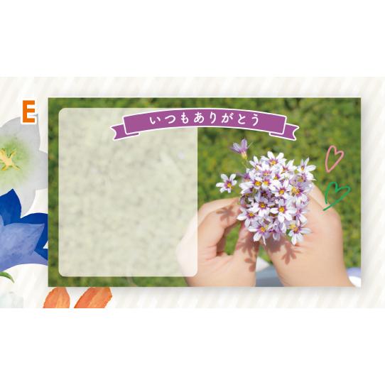 売り上げアップ！2024敬老の日メッセージカード 丸信オリジナル【受注生産】 |  | 08