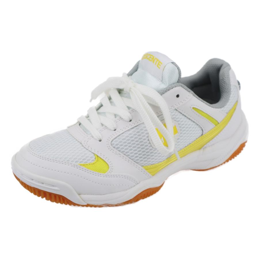 DESCENTE（デサント） ムーンスター 子供靴 体育館 ジュニア シューズ