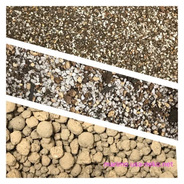 多肉植物リトープスmix栽培セット 種20粒と育てるのに必要なものが揃っ