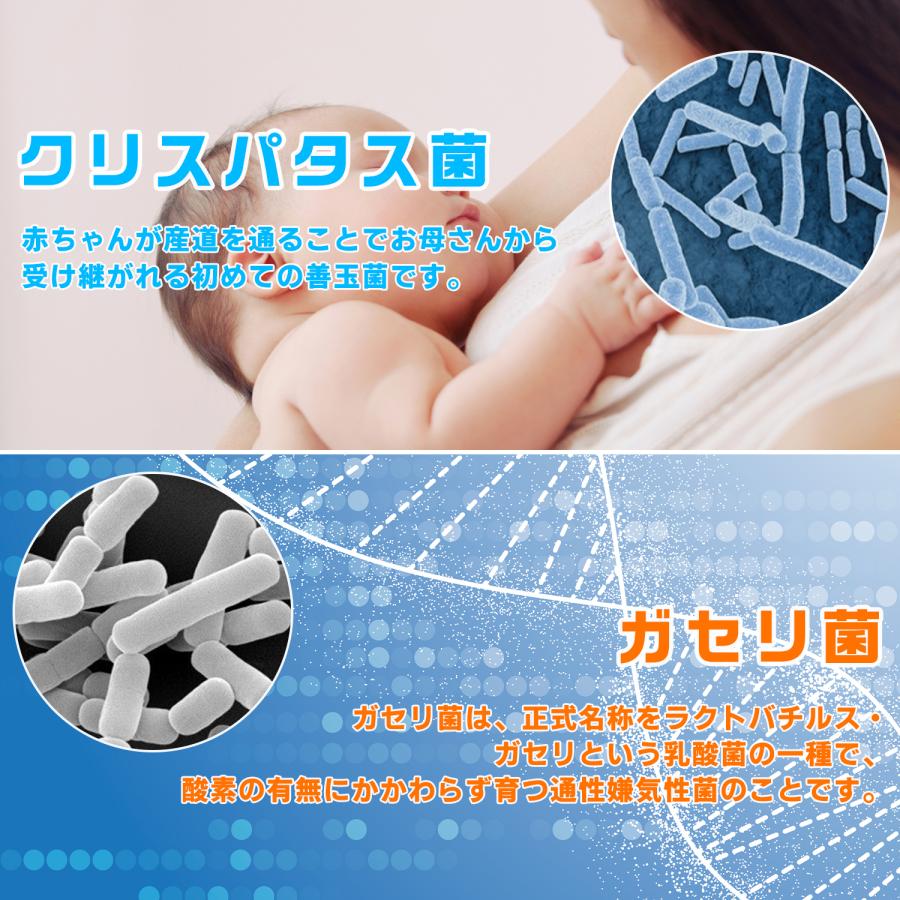 クリスパタス菌＋ガセリ菌 腸溶性カプセル 生きた乳酸菌100億 60