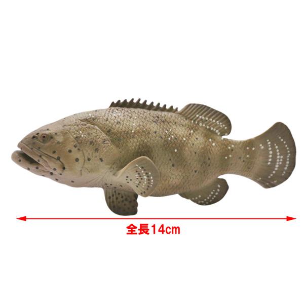 ゴライアスグルーパー ジャイアントグルーパー フィギュア 全長14cm