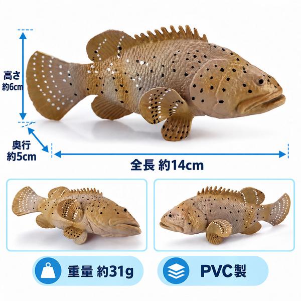 ハタ（グルーパー）フィギュア 全長約14cm PVC製 魚模型 リアル 海洋