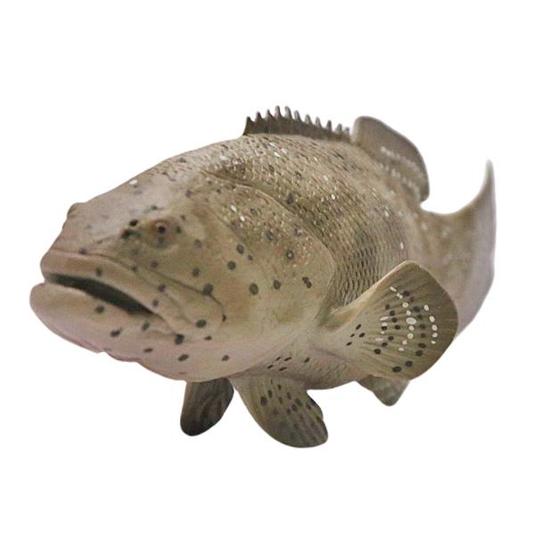 ゴライアスグルーパー ジャイアントグルーパー フィギュア 全長14cm
