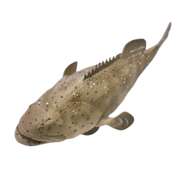 ゴライアスグルーパー ジャイアントグルーパー フィギュア 全長14cm