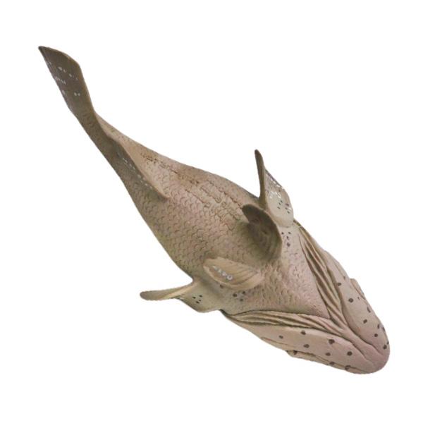 ゴライアスグルーパー ジャイアントグルーパー フィギュア 全長14cm