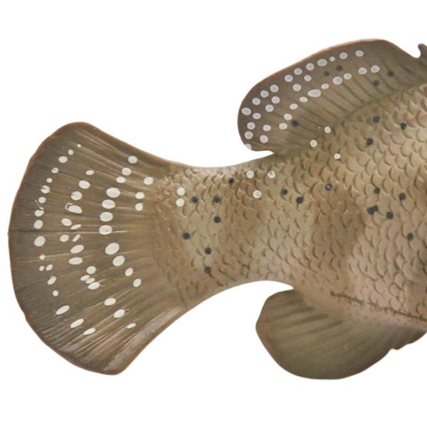 ゴライアスグルーパー ジャイアントグルーパー フィギュア 全長14cm