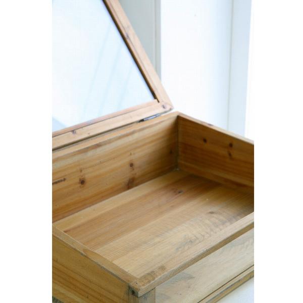 収納ケース】ラスティパイン・ガラスケース L