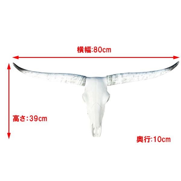 壁掛けオブジェ LONG HORN ブル スカルヘッド オブジェ 縦39cm×横80cm