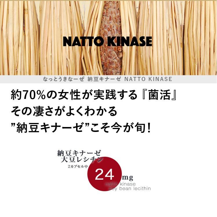 酵素サプリ 納豆キナーゼ 腸内環境 便秘 ナットウキナーゼ 黒酢 納豆 腸活 痩せるサプリ N1 0002 糖質制限ラボハンシン 通販 Yahoo ショッピング