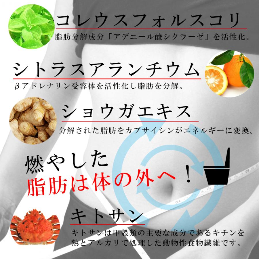 ダイエット サプリ 40代 50代 女性 フォルスコリ ギムネマ カーボリミット プラスバーニング P1 6006 糖質制限ラボハンシン 通販 Yahoo ショッピング