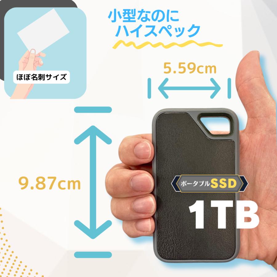 SUNEAST 外付けSSD 1TB SEPS0001T2LG1F SUNEAST サンイースト ポータブル外付けSSD 1TB ULTIMATE PRO GOLD
