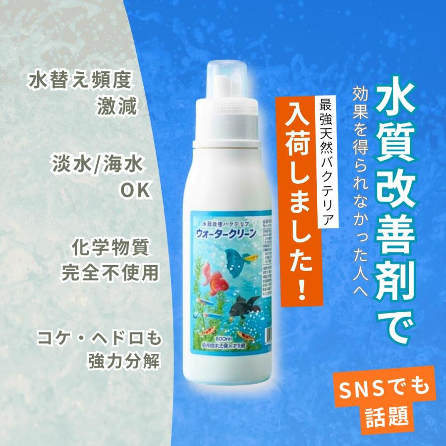 バクテリア 淡水海水両用 メダカ ディスカス チョウチョウオ 鯉 金魚