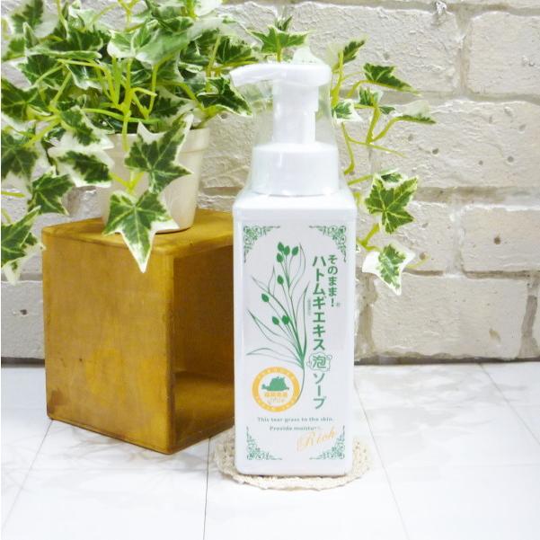 そのまま！（シンエイ） そのまま！ハトムギエキス泡ソープ