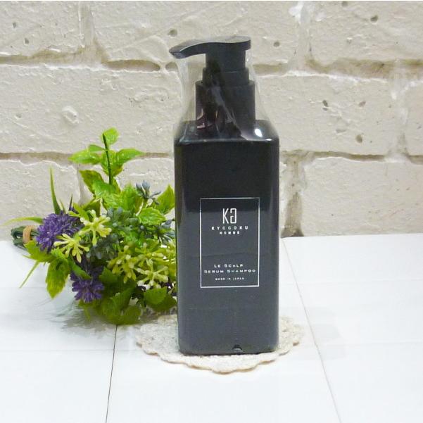 KYOGOKU PROFESSIONAL KYOGOKU レ スキャルプセラムシャンプー 185ml