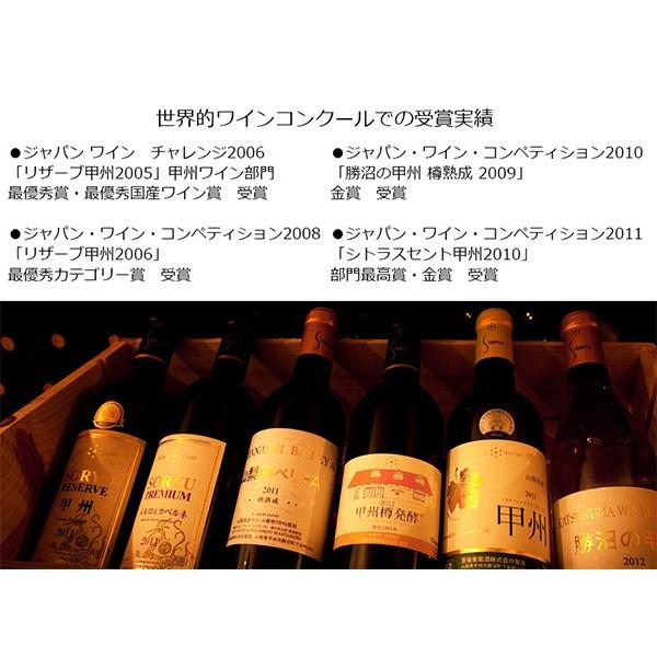 ワイン 蒼龍葡萄酒 マディルージュ コンコード NV 6本セット 酸化防止剤無添加 日本 山梨 スパークリングワイン 750ml ランブルスコのような :604004x6:リカーショップ・ラブリコラブリカ - 通販 - Yahoo!ショッピング ワイン 蒼龍葡萄酒 マディルージュ コンコード NV 6本セット 酸化防止剤無添加 日本 山梨 スパークリングワイン 750ml ランブルスコのような :604004x6:リカーショップ・ラブリコラブリカ - 通販 - Yahoo!ショッピング