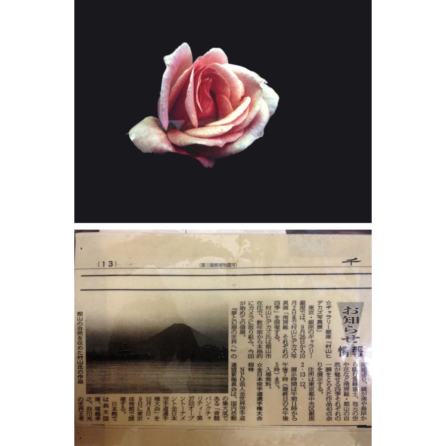 【今だけ価格！】 特大芸術写真  A2サイズ バラ 薔薇 ROSE 額付 Hidekazu,M / A2 バラ 薔薇 Rose 額付 オリジナルプリント 17