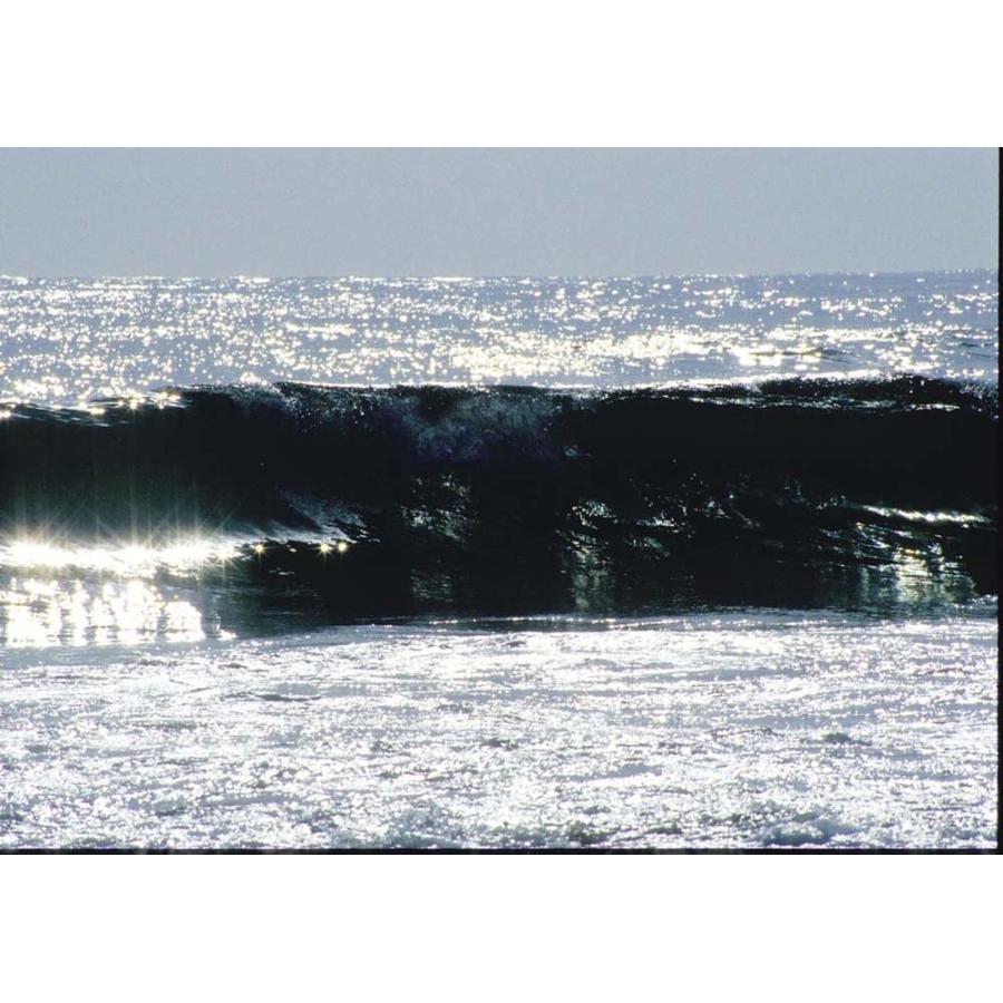 WAVE / 千倉の海 撮影者：村山ヒデカズ南房総それぞれの四季』 人気